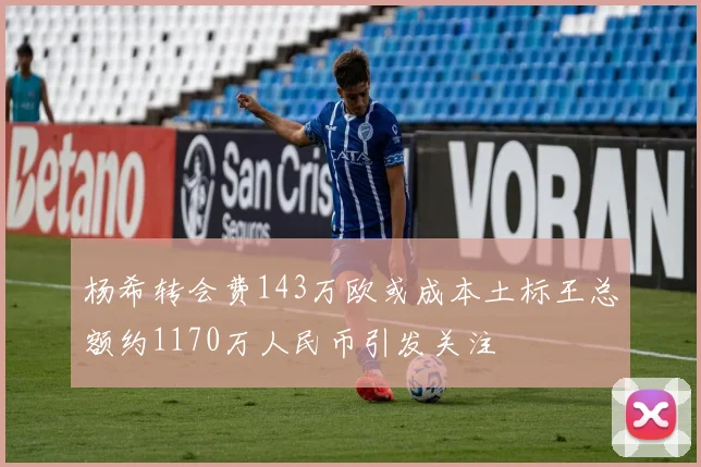 杨希转会费143万欧或成本土标王总额约1170万人民币引发关注