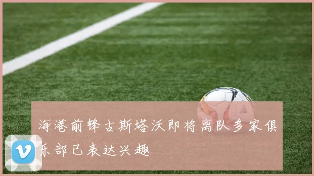 海港前锋古斯塔沃即将离队多家俱乐部已表达兴趣