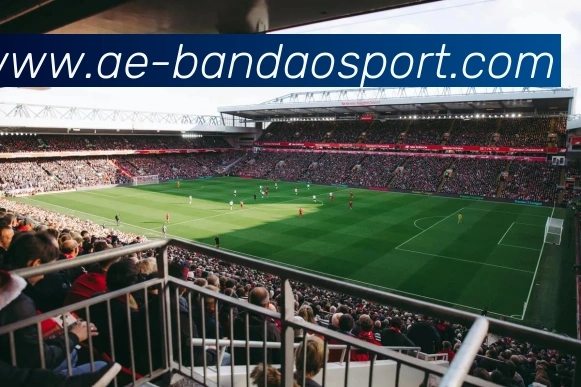 半岛足球体育APP 高清赛事图