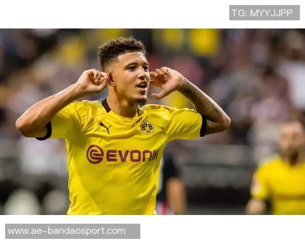 国米计划引进姆拉契奇并租借半年转会费预计在300万至400万之间