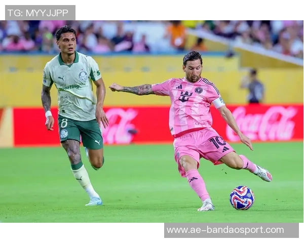 帕尔梅拉斯关注布莱顿后卫伊戈尔现正外租于西汉姆