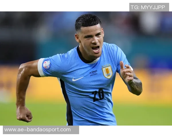 苏群分析火箭与掘金对决展现西部篮球新老力量的较量与提升 苏群分析火箭与掘金对决展现西部篮球新老力量的较量与提升